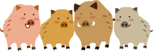 イラストいのしし1